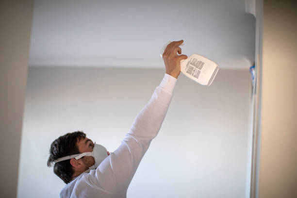 Professional Mold Remediation in Wiggins, MS